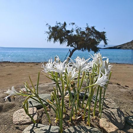 Diana'S Luxury Suites Kíthnos Extérieur photo