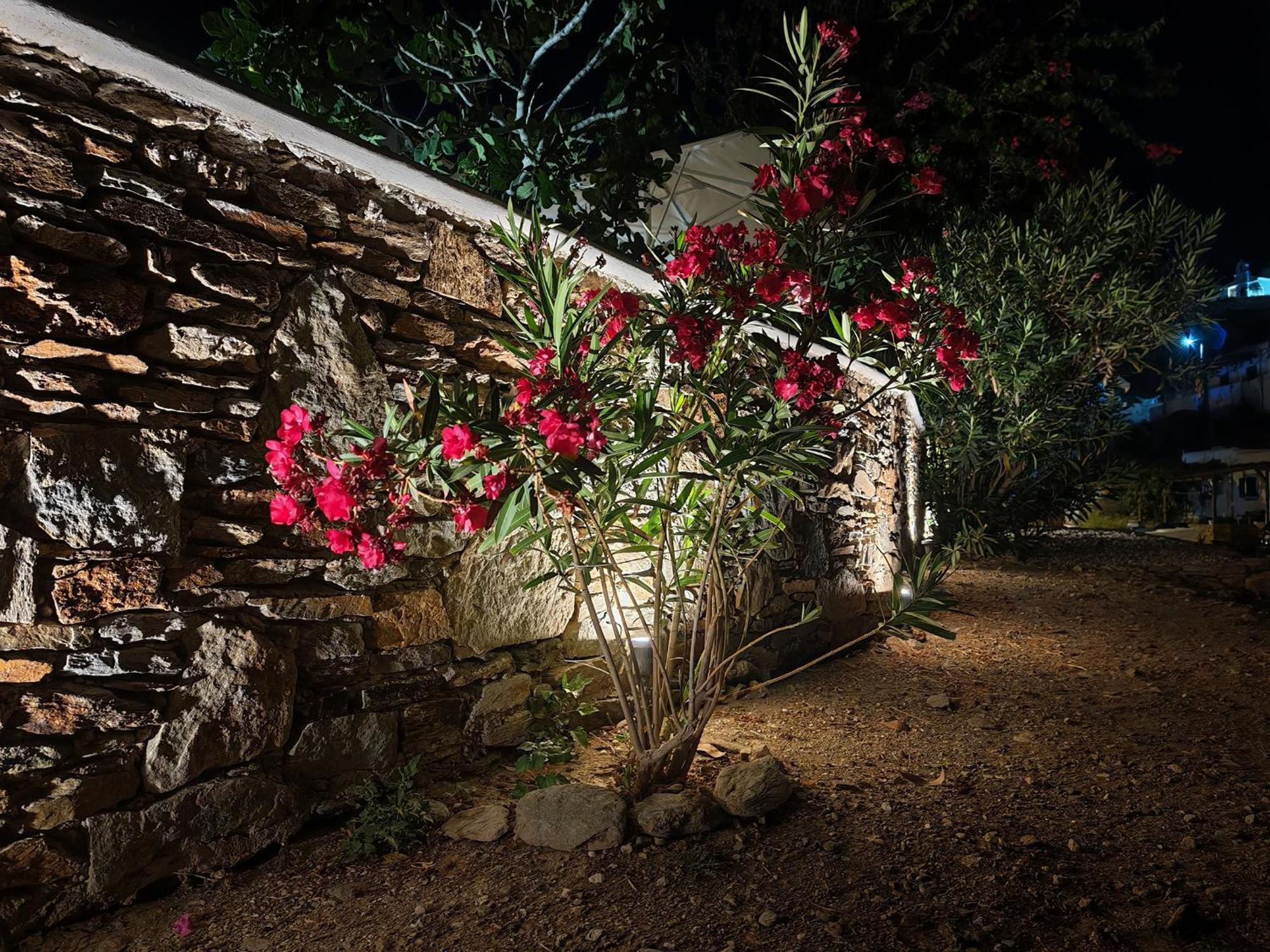 Diana'S Luxury Suites Kíthnos Extérieur photo