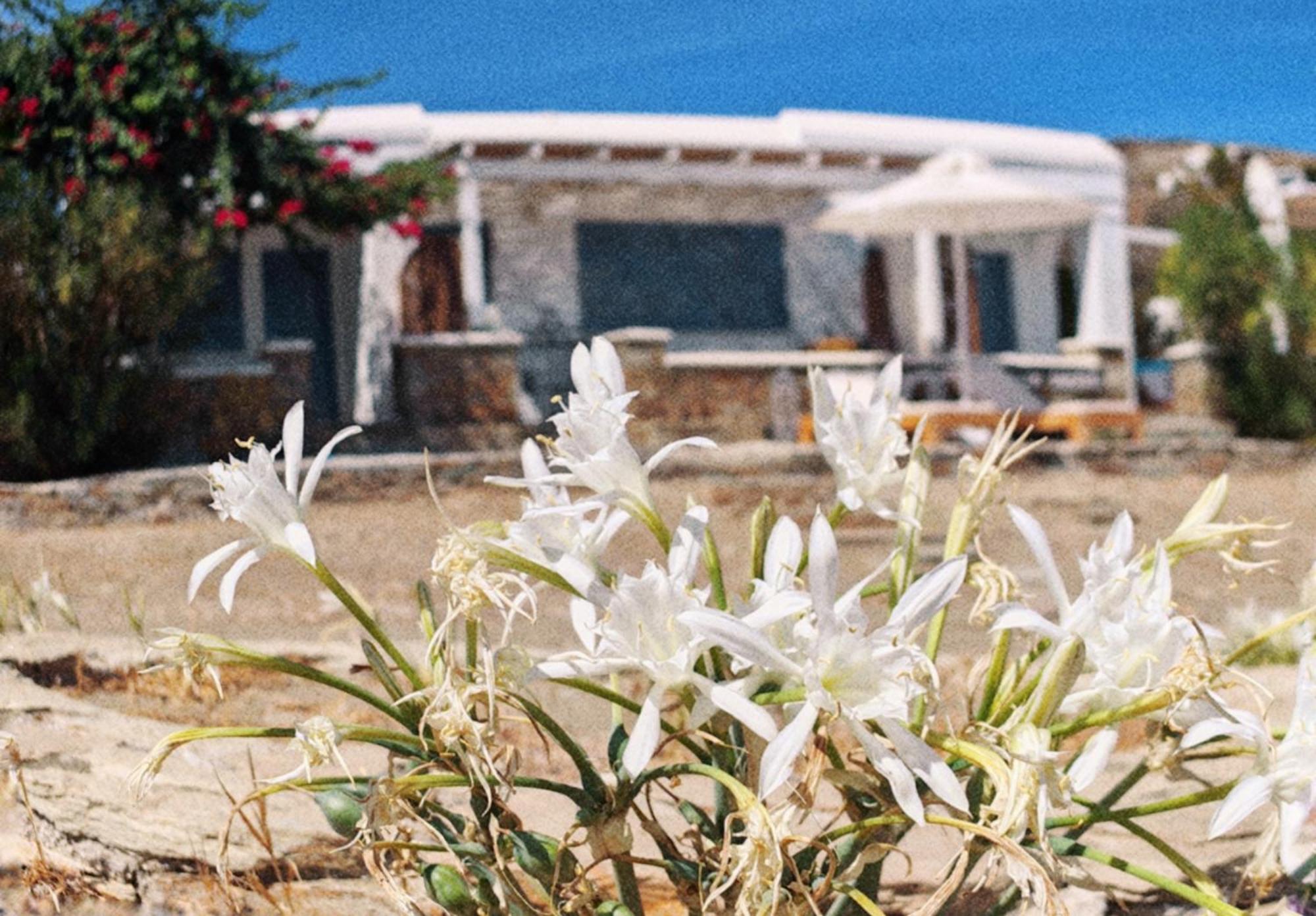 Diana'S Luxury Suites Kíthnos Extérieur photo